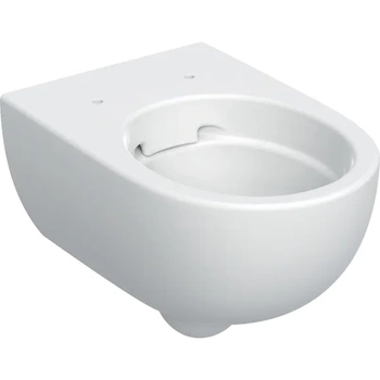 GEBERIT Wisząca miska WC Selnova, Premium, lejowa, ukryte mocowania Rimfree