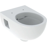 GEBERIT Wisząca miska WC Selnova,Premium lejowa/częściowo ukryte mocowania